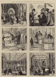 The Brighton Season, in the Aquarium